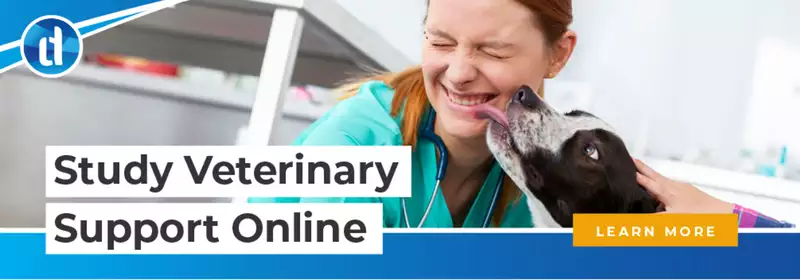 learndirect - How do I become a Veterinary Support Assistant?